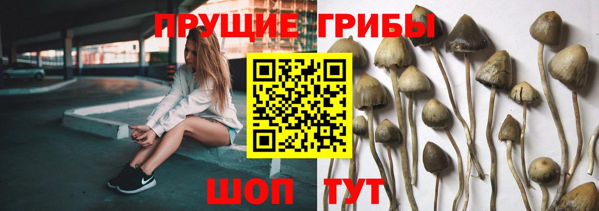 Псилоцибиновые грибы мицелий  Вход с VPN  Обнинск  цена наркотик  Галлюциногенные грибы Magic Shrooms 
